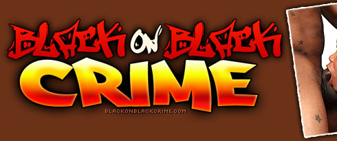 Stacey Degraded on Black On Black Crime